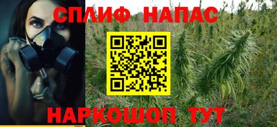 меф Краснознаменск