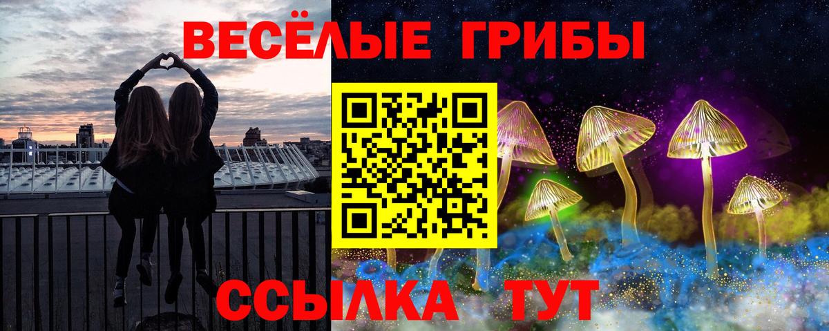 Псилоцибиновые грибы Psilocybine cubensis Красногорск